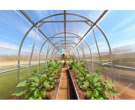 Polikarbonāta siltumnīca Dačnaja Dvuška