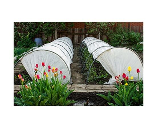 Парник "Горошек" с пленочным покрытием